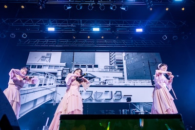 Negicco