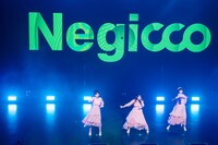 Negicco