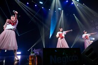 Negicco