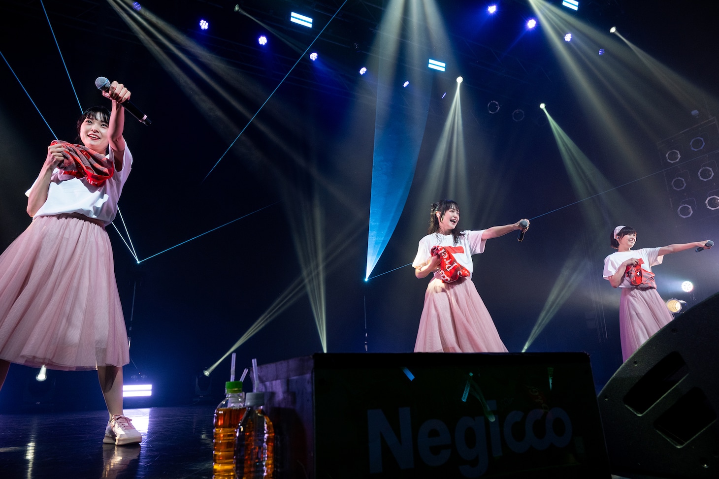 Negicco