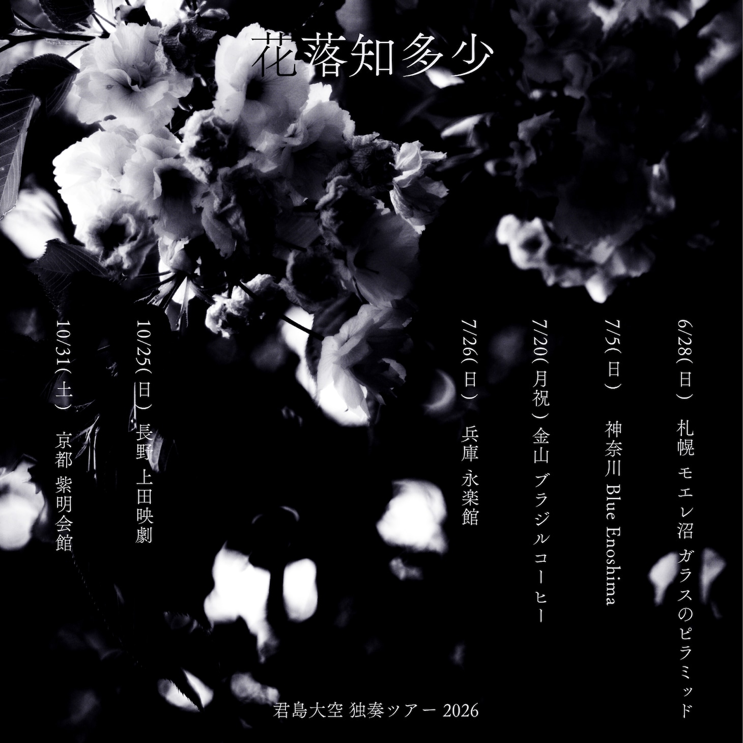 「君島大空 独奏ツアー 2026 “花落知多少”」フライヤー