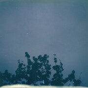 君島大空「花落知多少」ジャケット