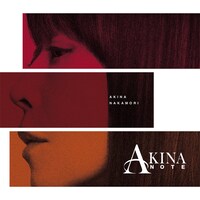 中森明菜「AKINA NOTE」アナログ盤ジャケット