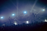 Silica Gel（撮影：元 / @tya__han）