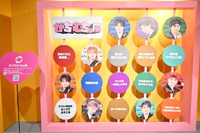 フォト＆ARムービーが楽しめる「がちむちゅ展」。