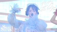 SWEET STEADY「ガーベラの花のように」ライブ映像より。