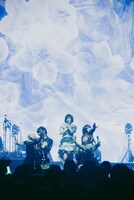 「RAY ONE-MAN SHOW『#MOD_GROOVE』- SOUND VISUALIZATION -」の様子。（Photo by endo rika）