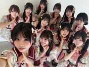 可憐なアイボリー