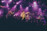 BRADIO（Photo by umihayato）