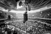 「a flood of circle 20周年記念公演 “LIVE AT 日本武道館”」の様子。（撮影：新保勇樹）