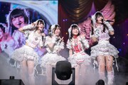 生配信のカメラにアピールするきゅるして。