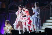 涙と笑いが止まらないきゅるして。