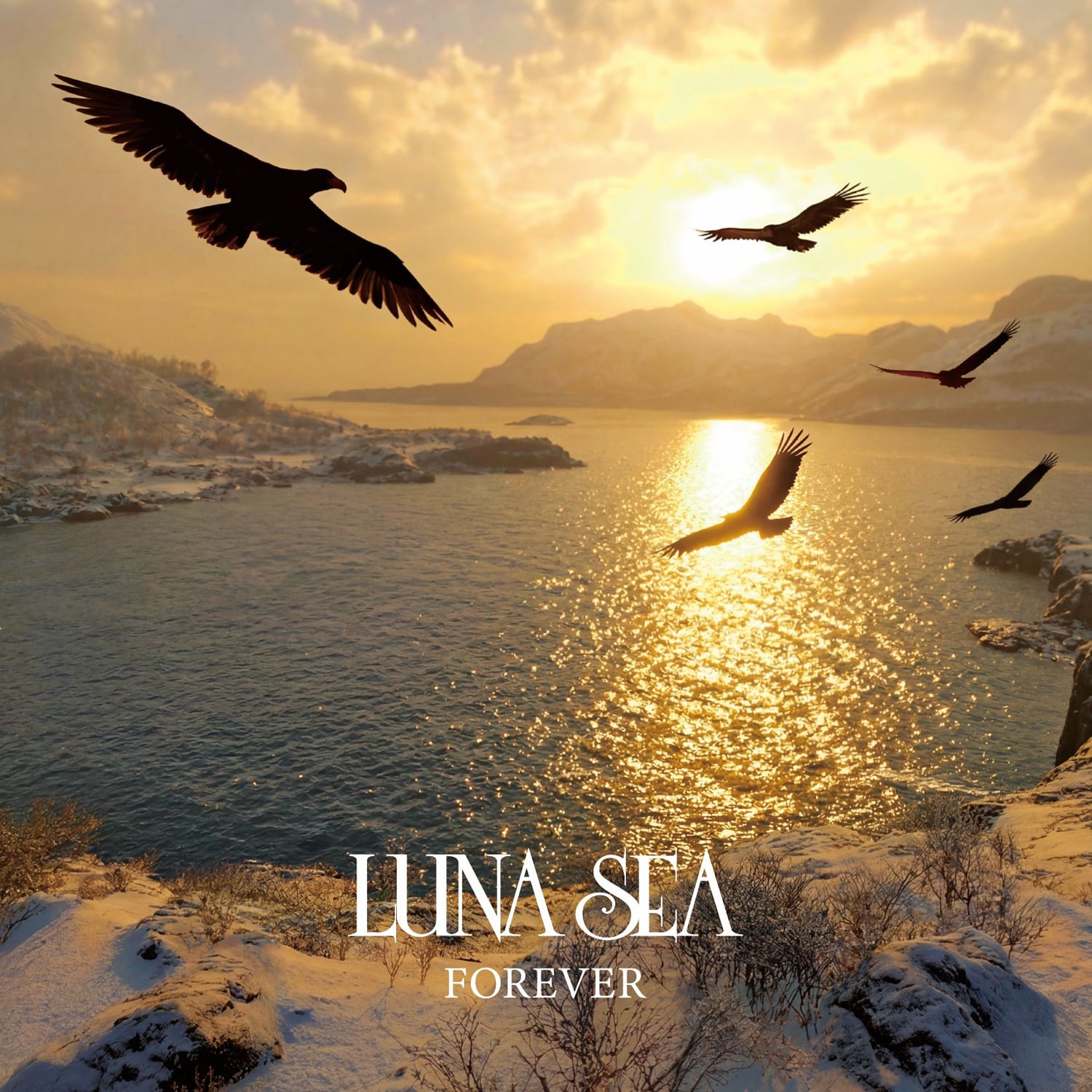 LUNA SEA&aelig;&deg;&aelig;&sup2;&atilde;FOREVER&atilde;&atilde;&cedil;&atilde;&pound;&atilde;&plusmn;&atilde;&atilde;&atilde;&laquo;&ccedil;&copy;&ordm;&atilde;&egrave;&atilde;5&ccedil;&frac34;&frac12;&atilde;&reg;&eacute;&middot;&sup2;&atilde;&ccedil;&ccedil;&cent;&atilde;&reg;&atilde;&atilde;&copy;&atilde;&nbsp;&atilde;&egrave;&acute;&atilde;&atilde;&atilde;&atilde;&pound;&atilde;&para;&atilde;&frac14;&ccedil;&not;&not;2&aring;&frac14;&frac34;&aring;&not;&eacute;