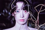 SAKURA