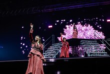 &atilde;14th Single BACKS LIVE!!&atilde;&atilde;&reg;&aelig;&sect;&aring;&shy;&atilde;&Acirc;&copy;Seed & FlowerLLC