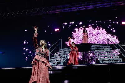 「14th Single BACKS LIVE!!」の様子。©Seed & FlowerLLC
