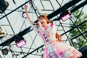 ピンクレディ