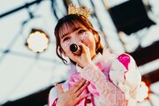 ピンクレディ