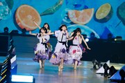 「乃木坂46 14th YEAR BIRTHDAY LIVE」公演の様子。©乃木坂46LLC