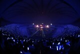 「『乃木坂46 14th YEAR BIRTHDAY LIVE』DAY 3～梅澤美波 卒業コンサート～」公演の様子。©乃木坂46LLC