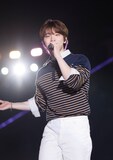 DINO（ディノ）。「SEVENTEEN 2026 JAPAN FANMEETING 'YAKUSOKU'」より。