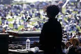 SPECIAL OTHERSのライブより、芹澤 "REMI" 優真（Key）の後ろ姿。