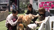 M!LK&auml;&frac12;&eacute;&aring;&aelig;&iuml;&frac14;&aring;&plusmn;&plusmn;&auml;&cedil;&shy;&aelig;&aring;&curren;&ordf;&aelig;&atilde;&acirc;&aring;&cedil;&laquo;&aring;&nbsp;&acirc;&ccedil;&cedil;&egrave;&eacute;&ccedil;&acute;&atilde;&uml;&eacute;&middot;&aring;&acute;&atilde;&sect;&auml;&iquest;&egrave;&shy;&middot;&ccedil;&not;&atilde;&atilde;&ordf;&atilde;&atilde;&sup3;&atilde;&deg;&atilde;1&aring;&sup1;&atilde;&sect;&atilde;&aring;&curren;&atilde;&aelig;&acute;&atilde;&pound;&atilde;&brvbar;&atilde;&atilde;&atilde;&atilde;