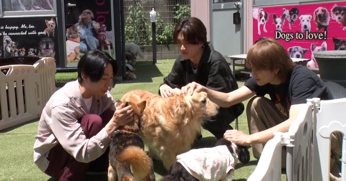 保護犬とふれあうM!LKの佐野勇斗と山中柔太朗