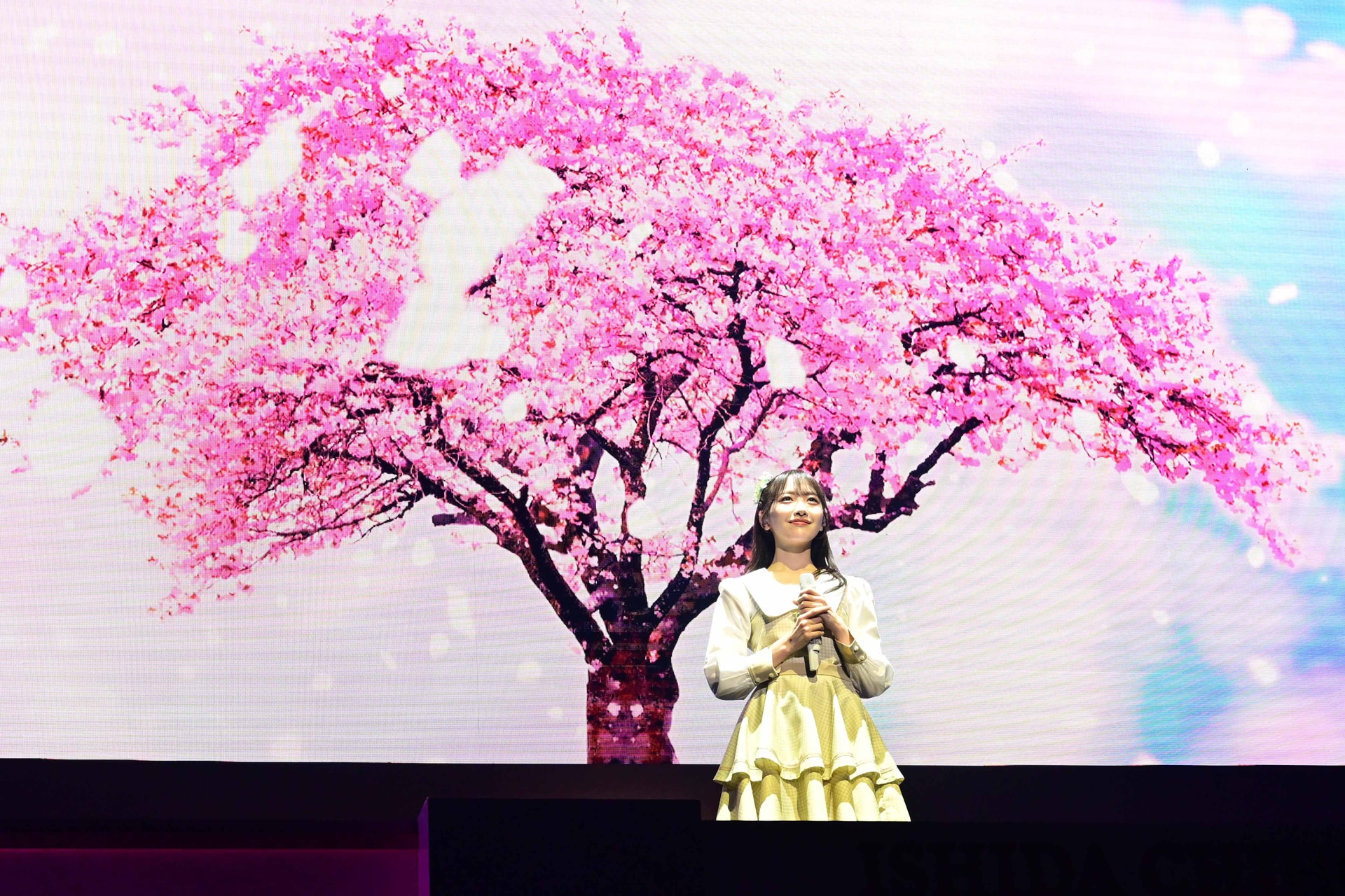 STU48 石田千穂卒業コンサート」より、「桜の木になろう」の