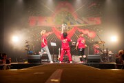 the telephones（撮影：内村祐貴）