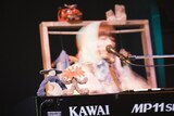 ヒグチアイ（撮影：渡邉隼）