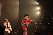 トータス松本×ナイアガラ社中×佐野史郎
