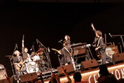ネクライトーキー（撮影：田中聖太郎写真事務所）