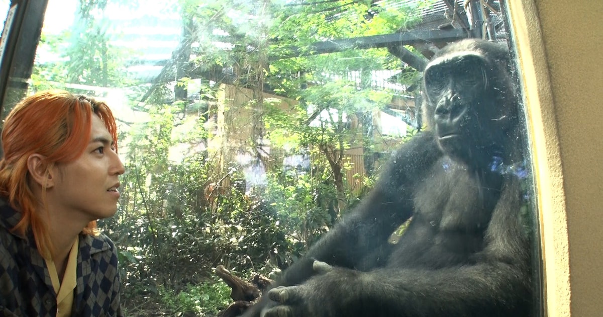 NHK「ザ・バックヤード」動物大好き・超特急タカシが見つめる動物たちの本当の姿と街ぐるみの支え