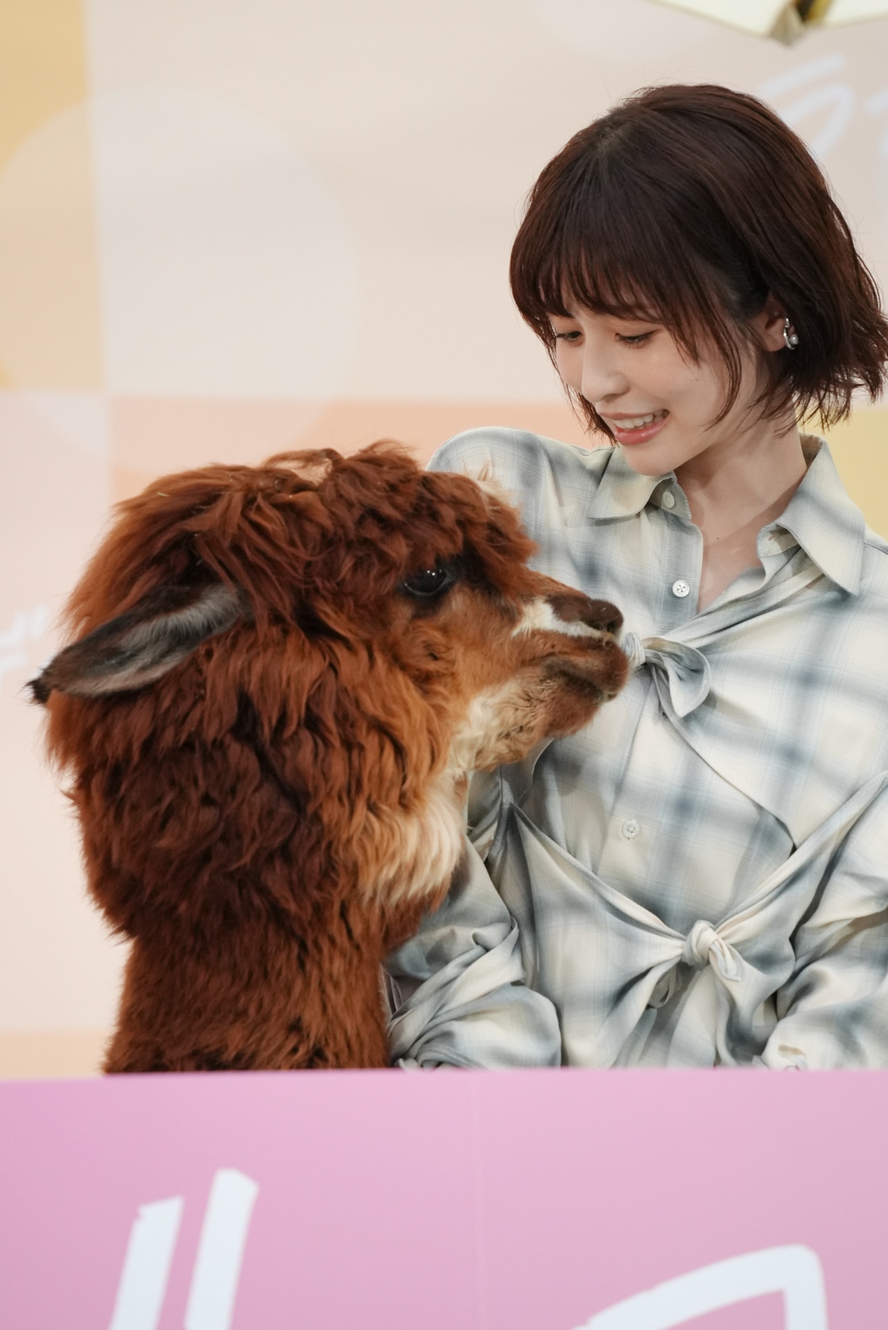 櫻坂46守屋麗奈1st写真集「笑顔のグー、チョキ、パー」の特典ミニ