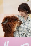 くるみに懐かれる長濱ねる。