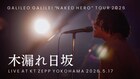 Galileo Galilei「木漏れ日坂」ライブ映像公開、アニメ「クジマ歌えば家ほろろ」OPテーマ
