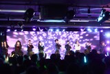 可憐なアイボリー（撮影：大橋祐希）