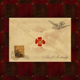 細野晴臣「Note of Mothership」配信ジャケット
