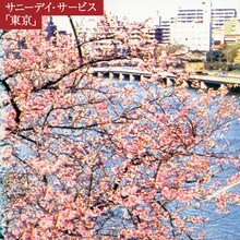 サニーデイ・サービス「東京」ジャケット