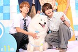 左から深田竜生（ACEes）、サモエドの有楽にカメラ目線の位置を教える浮所飛貴（ACEes）。