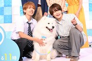ACEes深田竜生＆浮所飛貴、ドラマ会見で佐藤龍我に差し入れおねだり「待ってるよ！」