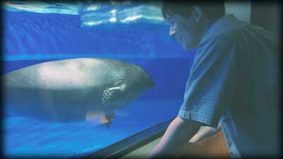 木村徹二「祭りの宵」ミュージックビデオより。