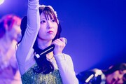 コモレビ ヒヨリ（撮影：白石達也）