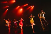 「7th ANNIVERSARY ONE MAN LIVE『ROPPONGI PARTY NIGHT』」の様子。（撮影：白石達也）