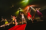 「7th ANNIVERSARY ONE MAN LIVE『ROPPONGI PARTY NIGHT』」の様子。（撮影：白石達也）