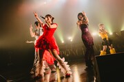 「7th ANNIVERSARY ONE MAN LIVE『ROPPONGI PARTY NIGHT』」の様子。（撮影：白石達也）