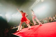 「7th ANNIVERSARY ONE MAN LIVE『ROPPONGI PARTY NIGHT』」の様子。（撮影：白石達也）