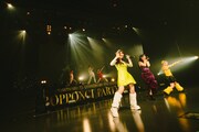 「7th ANNIVERSARY ONE MAN LIVE『ROPPONGI PARTY NIGHT』」の様子。（撮影：白石達也）