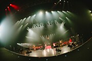 「7th ANNIVERSARY ONE MAN LIVE『ROPPONGI PARTY NIGHT』」の様子。（撮影：白石達也）